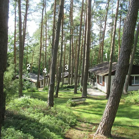 Mengshausen 2 Niederaula